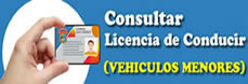 LICENCIA DE CONDUCIR